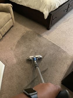 Pet Stain Remover Pro