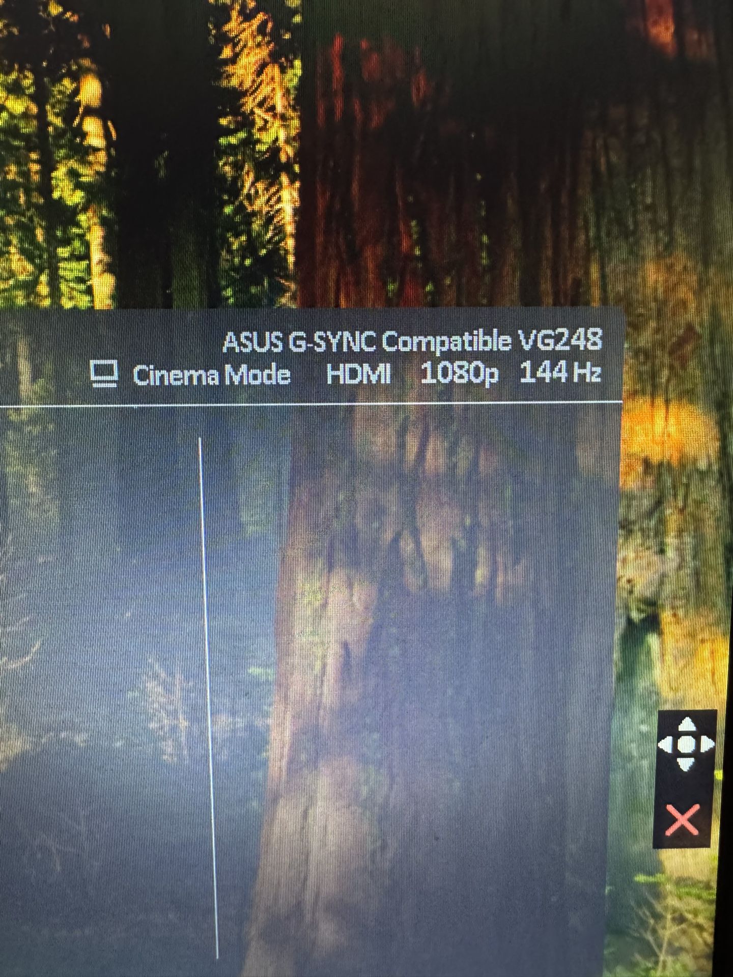 Gaming Monitor
