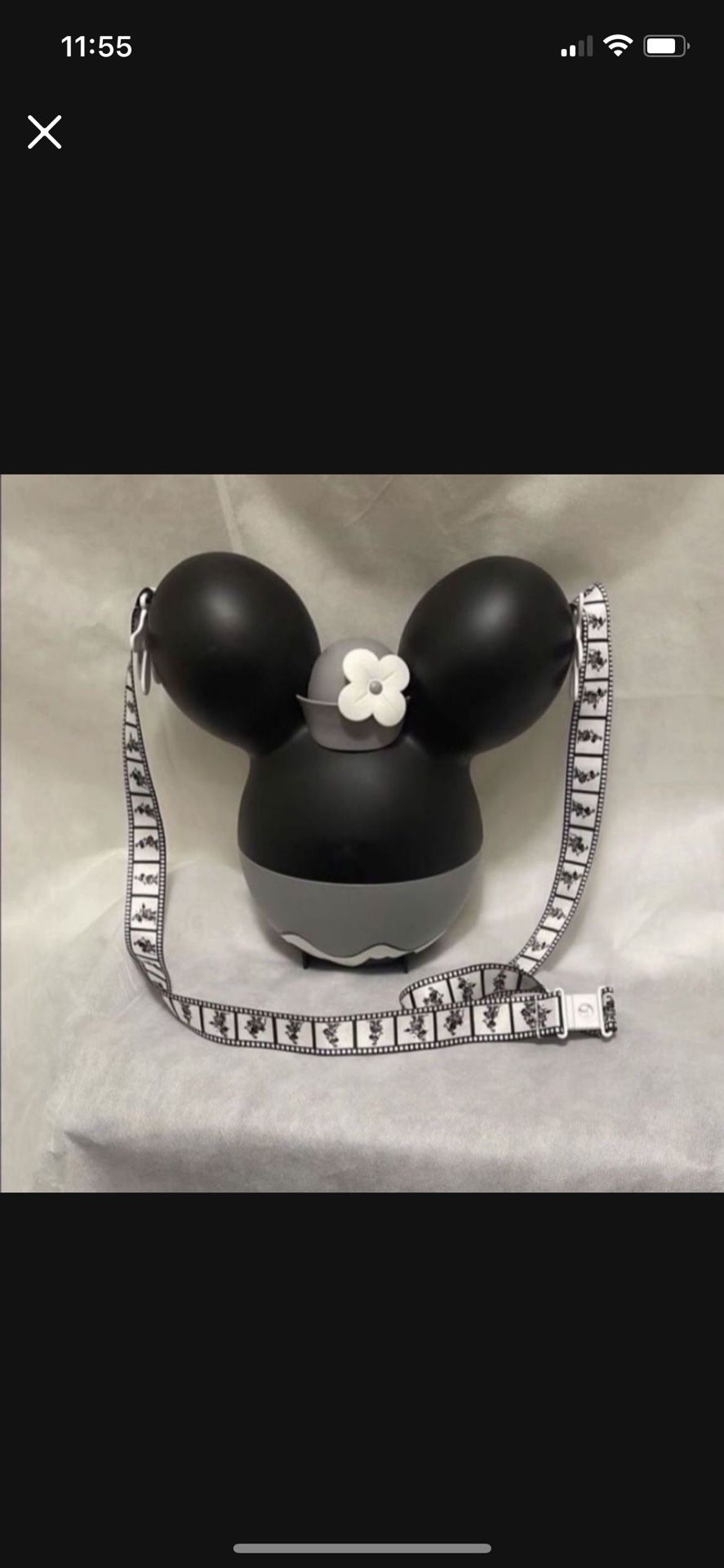 Disney Popcorn Bucket 