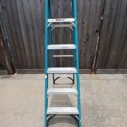 6ft Ladder