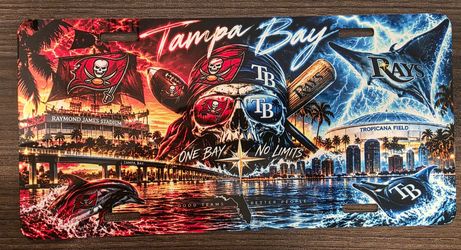 Tampa Bay Sport Teams license plate