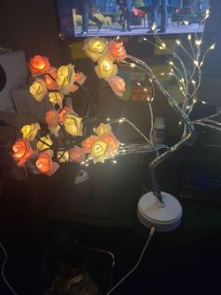 Computer lights