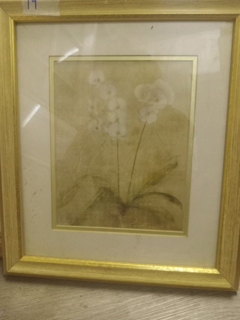 Floral Pictures