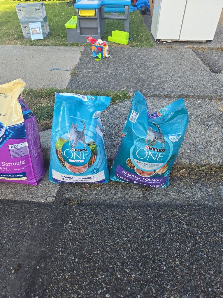 FREE Cat Food - Expired