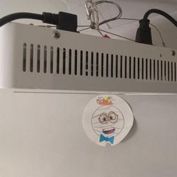 LED Grow Lights Works Great Only $45 Can Deliver 