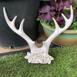Horns wall decor. About a ft wide