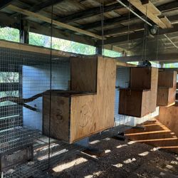 Professional Large Breed/Parrot Breeder Cages 