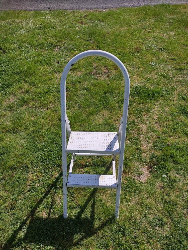 Step Ladder Two Steps Good Shape Works Good
