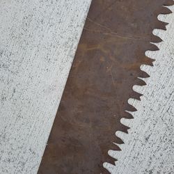 Antique Crosscut Saw