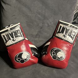 GRANT BOXING GLOVES