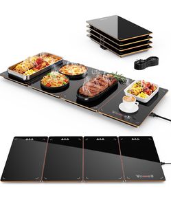4-in-1 Electric Warming Tray