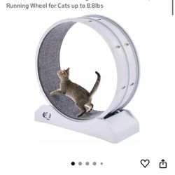 Cat Exercise Wheel Brand new