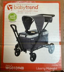 Expedition 2 in 1 stroller wagon