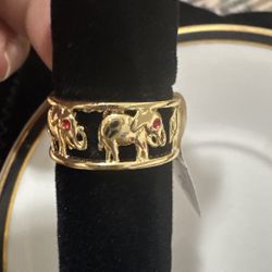 Elephants Ring / Anillo Elefantes 
