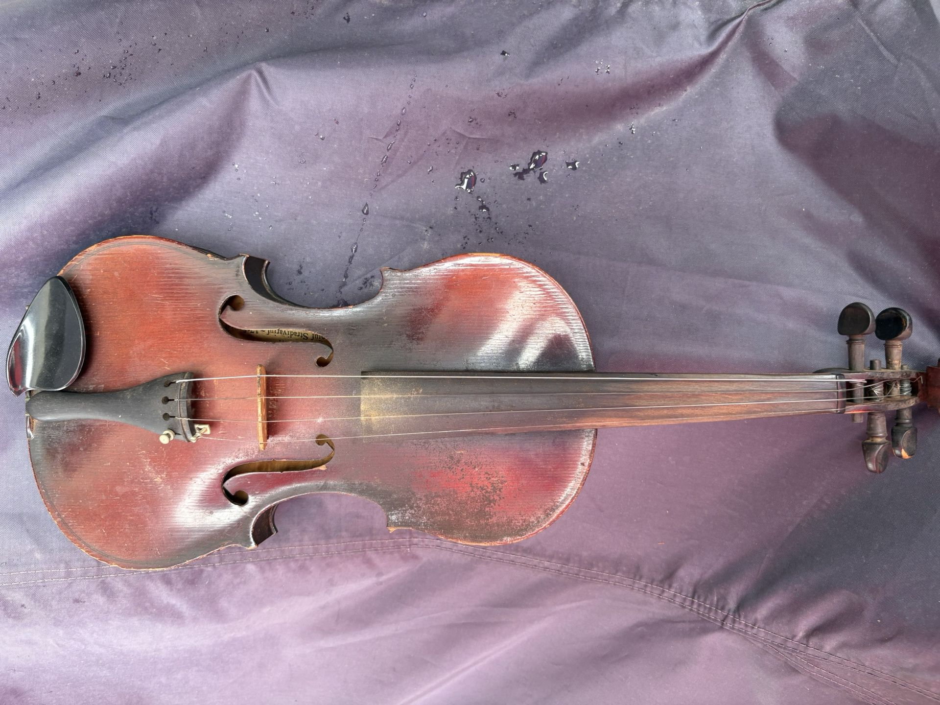 Violin