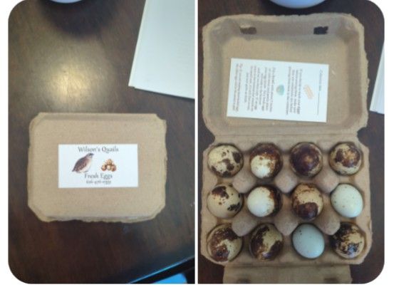 Quail Eggs
