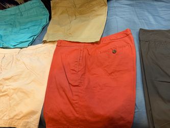 Ladies shorts