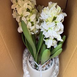 Artificial Hyacinth Plant