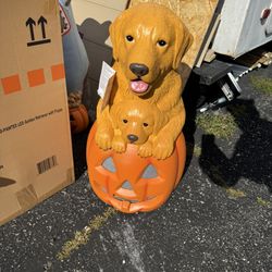 2026 Home Depot Halloween Dog Blow Mold Decorations