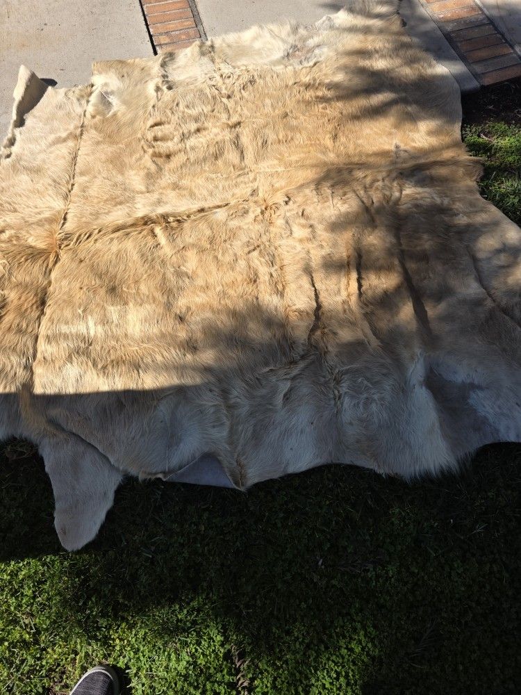 tan hide rug 6 x 7 +/-
