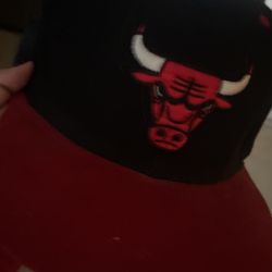 chicago bulls hat