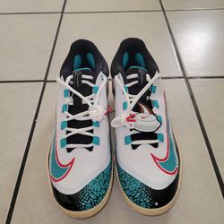 Nike Alpha Huarache Elite 4 Low ‘Paul Goldschmidt’  FZ7345-103 Men’s Size 11