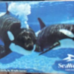 Sea world tickets ($30 each one)