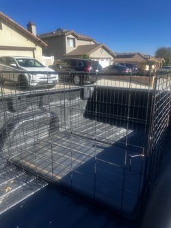 Large dog crate