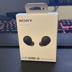 Sony Earbuds WF-C700N