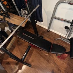 Freemotion 220 BE Olympic Weight Bench +Complete Weight Plates Set 