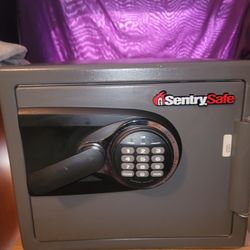 Sentry Safe