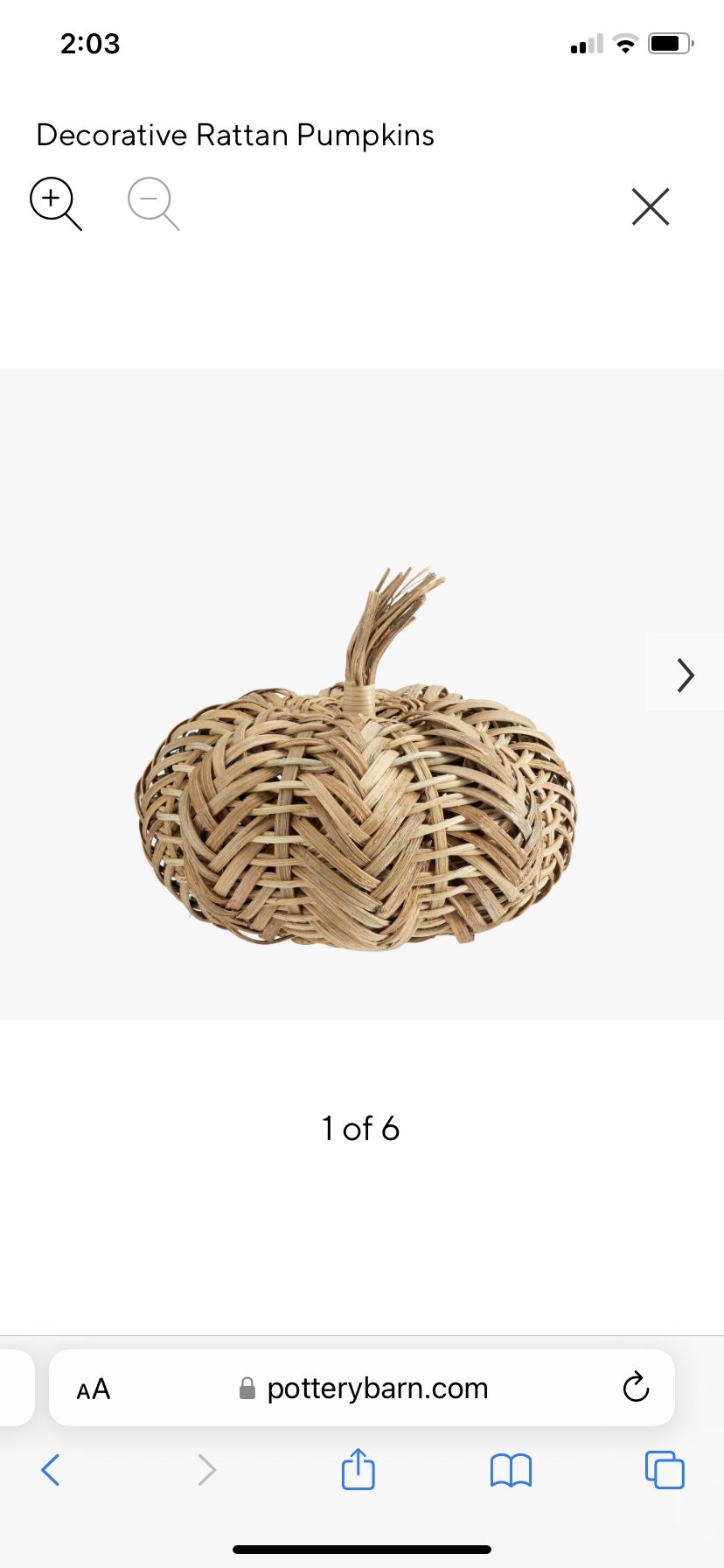 New! Pottery Barn set of 2 Rattan woven pumpkins size Med
