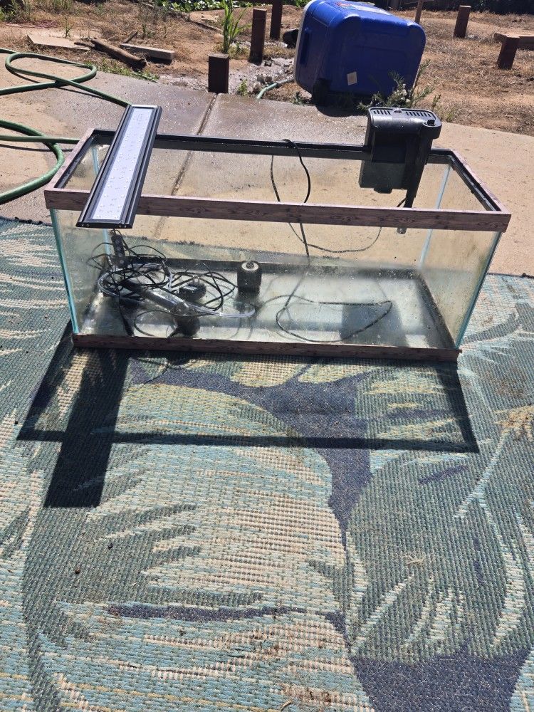 Fish Tank