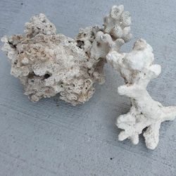 Coral reef, for saltwater tank.