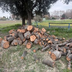 Firewood Dump Site Available – Save on Disposal Costs 