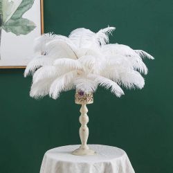 OSTRICH Feather PLUMES 19”-24”
