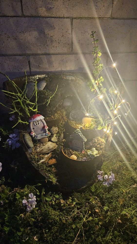Succulent Fairy Garden