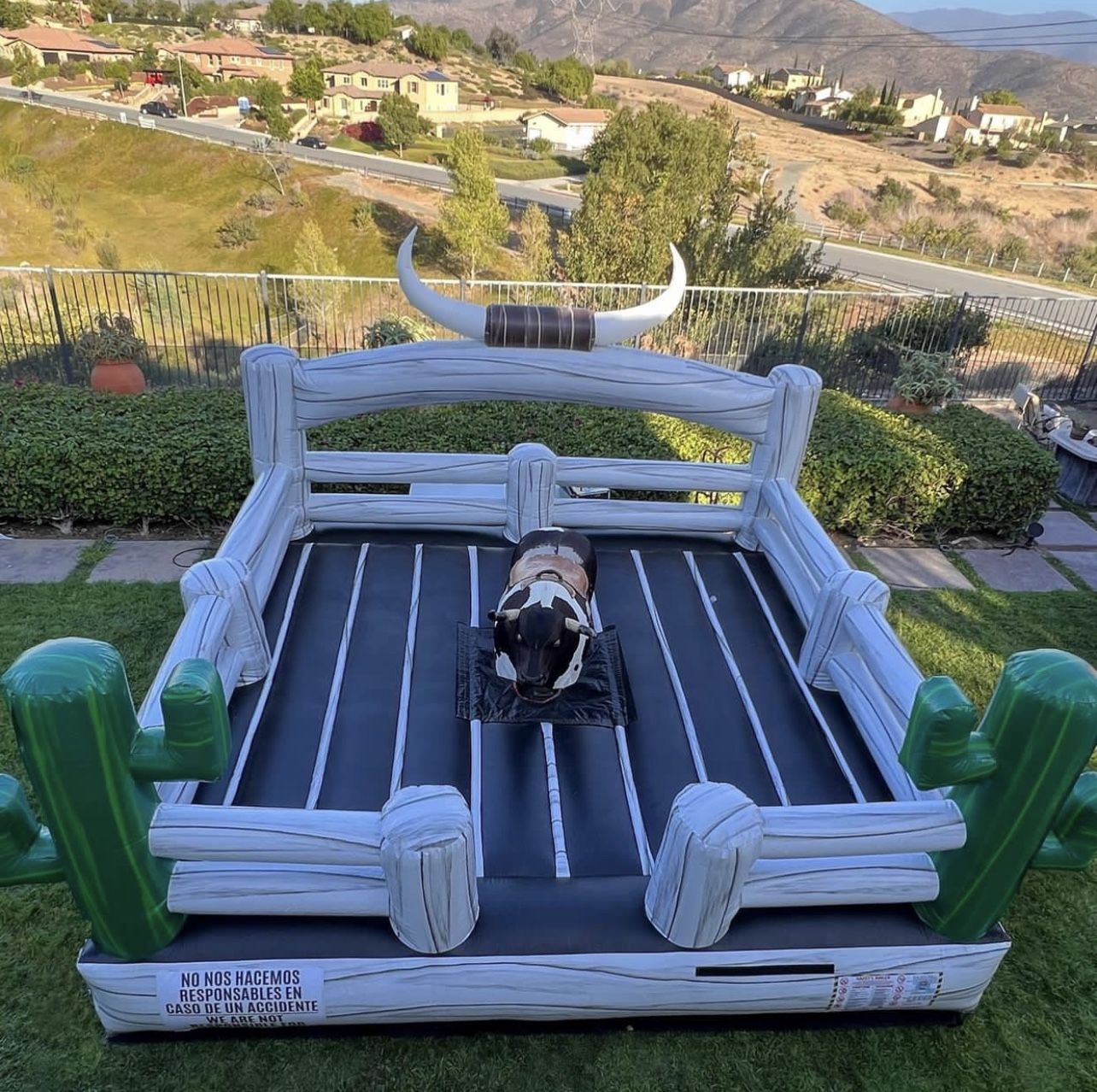Mechanical Bull