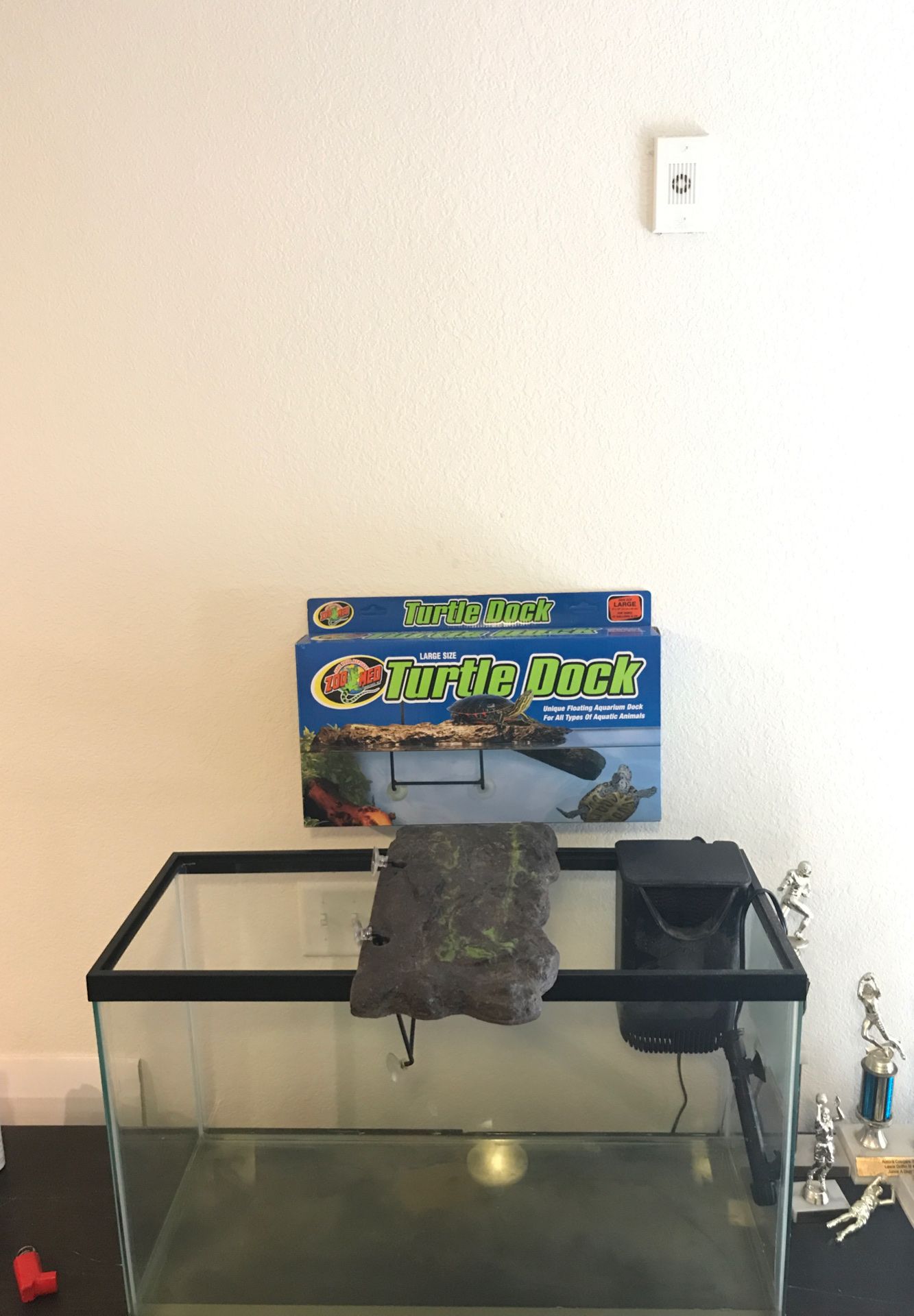 Aquarium Set Up