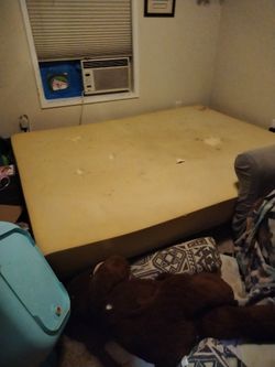 Free Queen Size Mattress 