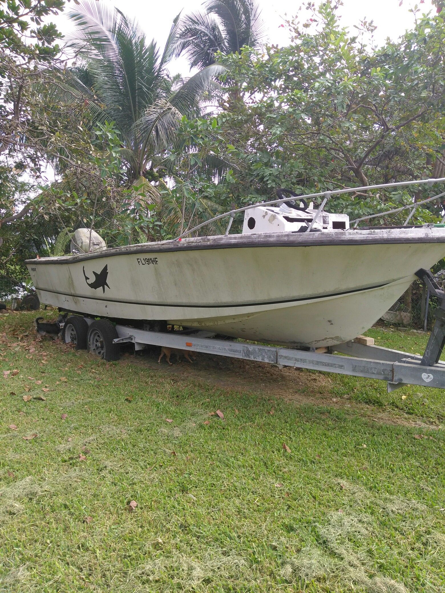 Boat and trailer $375