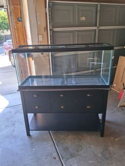 75 Gallon Fish Tank