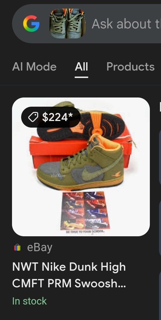Sb Dunks 100$ No Sole W Box