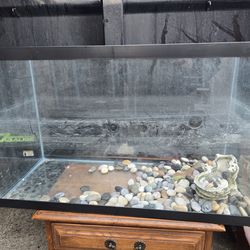 30 gallon aquarium as in pics