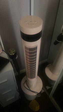 Pink fan