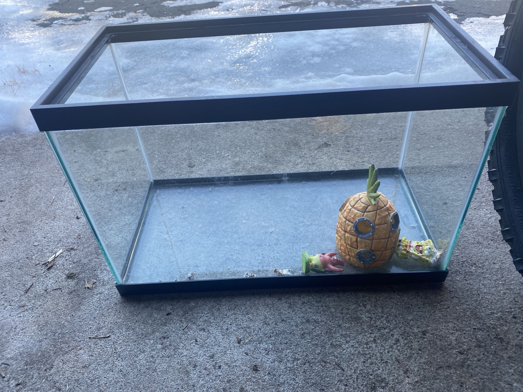 Fish Tank