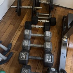 Weight equipment all for 100 dollars