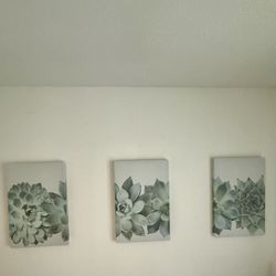 Wall Decor - Succulents 