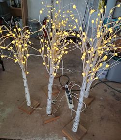 6 birch trees with fairy lights