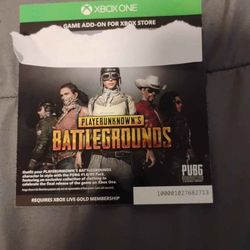 Battlegrounds ADD-ON ( Not actual game)